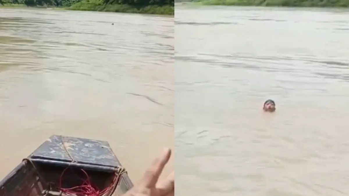 thumb_vietnam_redding