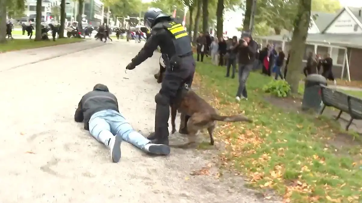 thumb_vk_chaos_malieveld_beelden