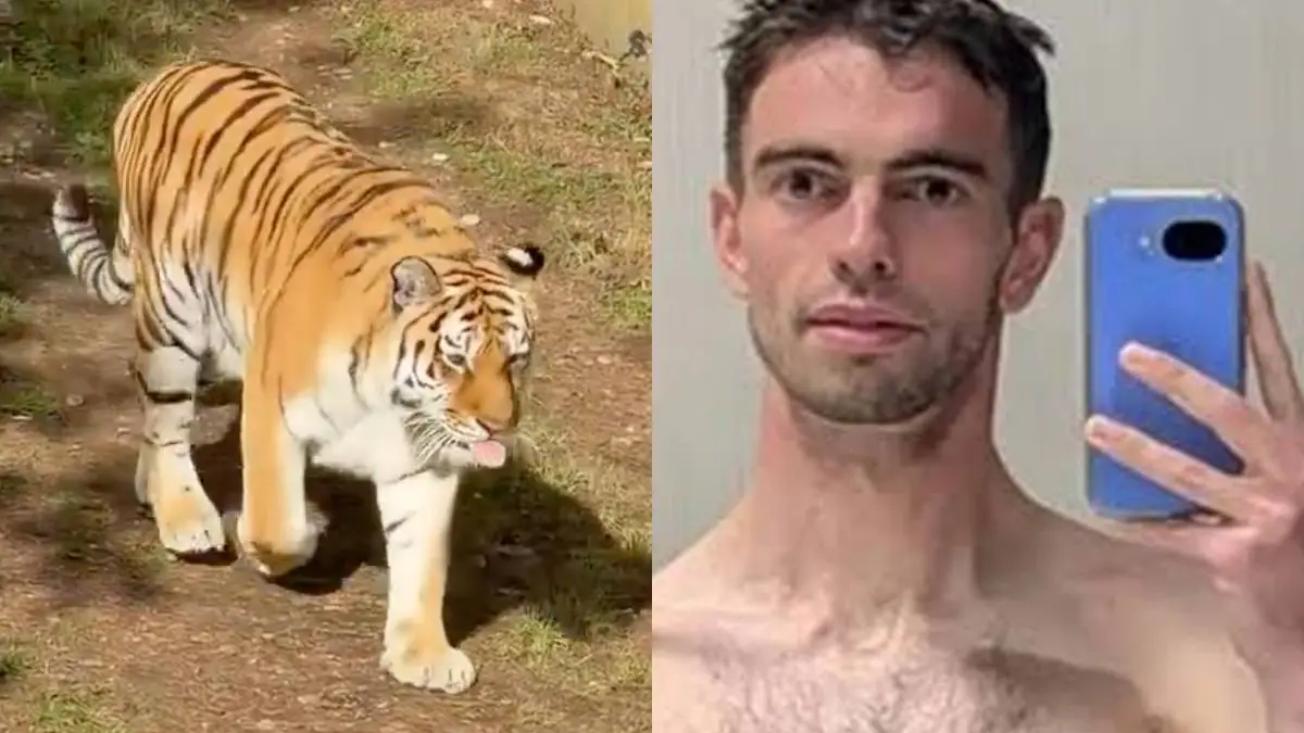 thumb_vk_man_tijger_chapman