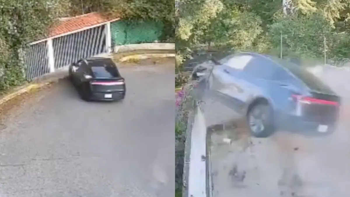 thumb_vk_tesla_vliegen_buren