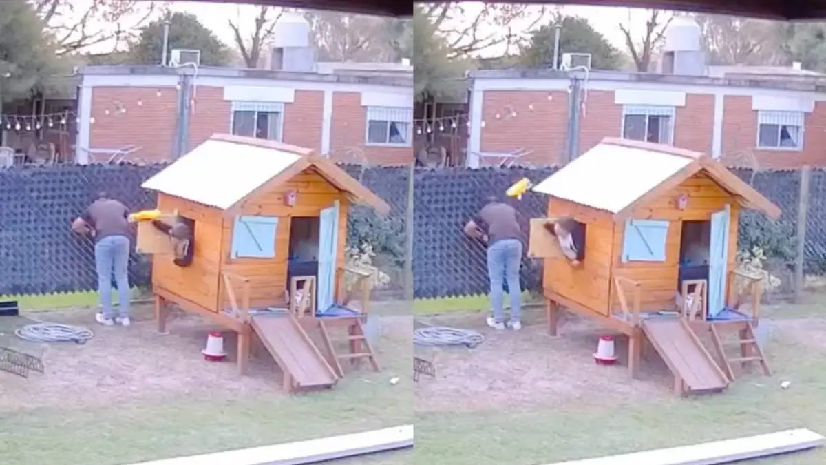 thumb_zonnlief_karma