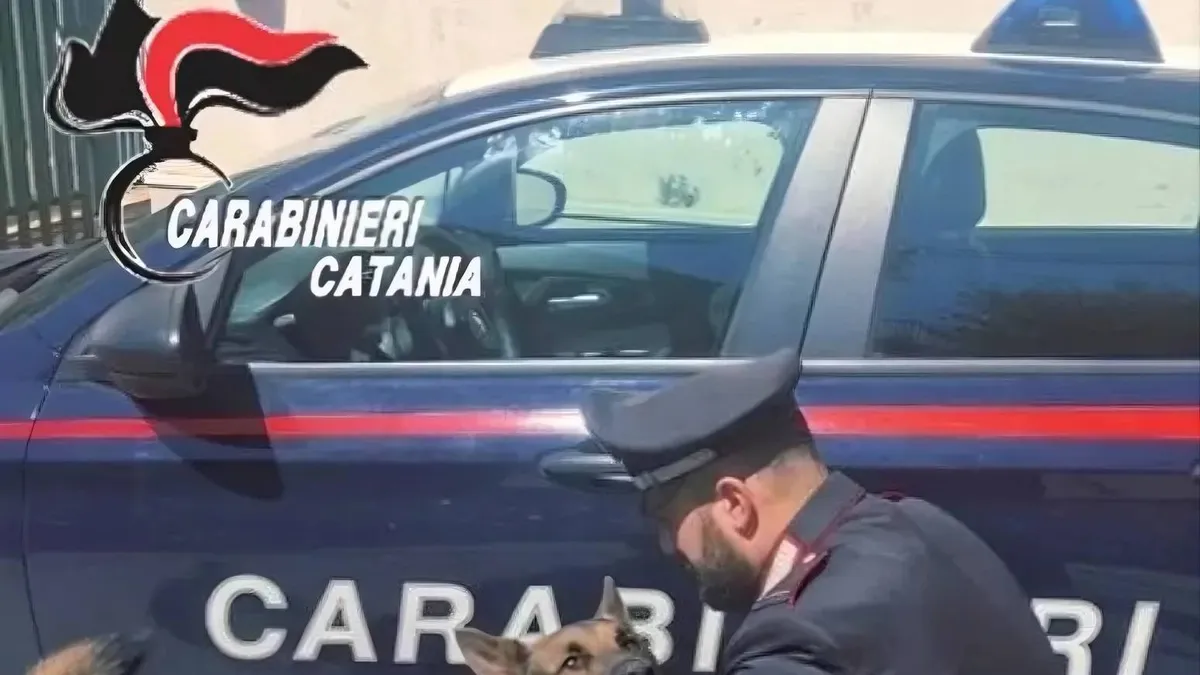 Cane usato come antifurto in auto: denunciato il proprietario dai Carabinieri