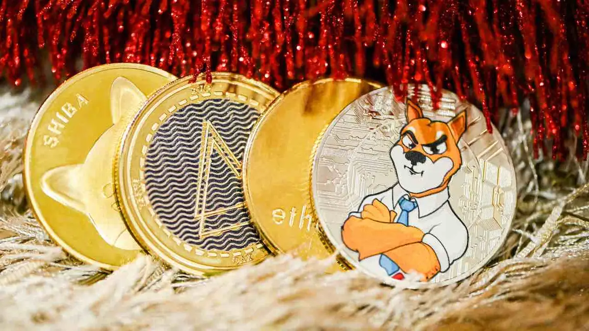 Any Inu Coin Crypto: wat is Shiba Inu coin? | LOESOE