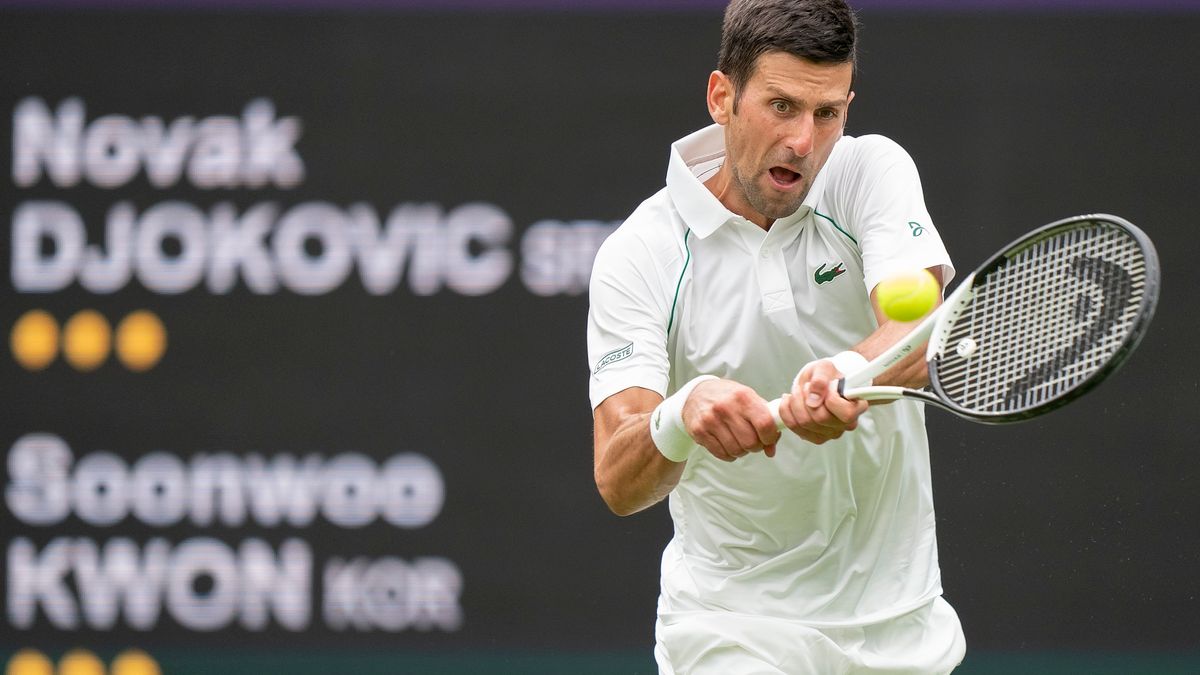 Novak Djokovic’s physio tracks his phone time to reach peak fitness