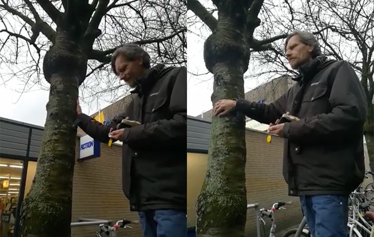 Een echte boomknuffelaar in gesprek met een boom | VK Magazine