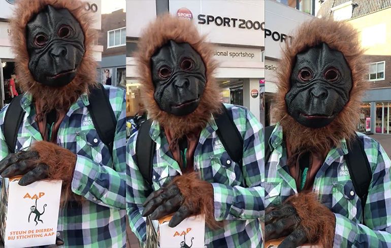 kelly van der veer prostituee