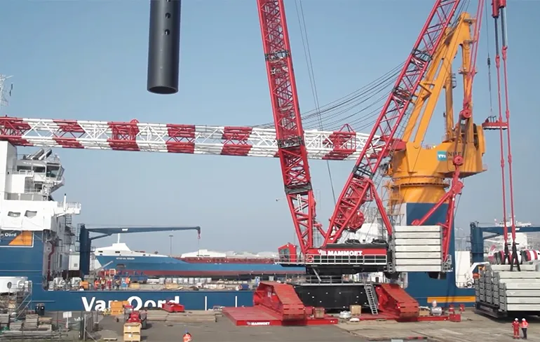 Пизда саңылаулары бейне