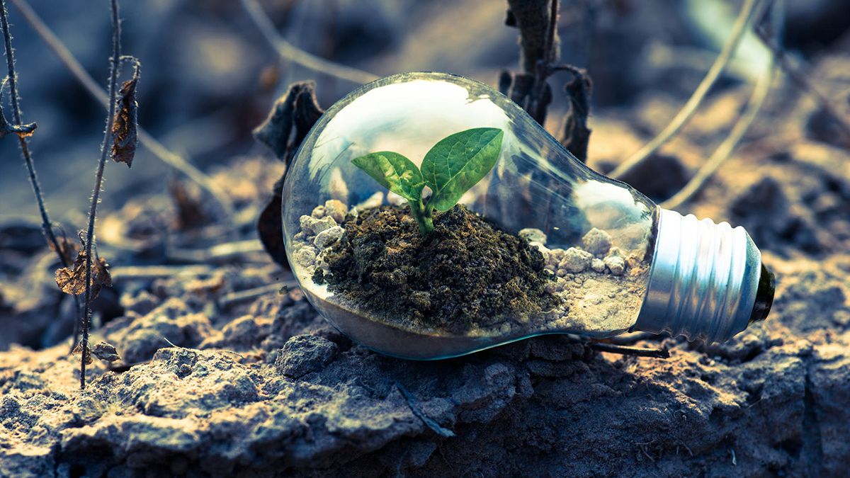 Drie voordelen van groene energie