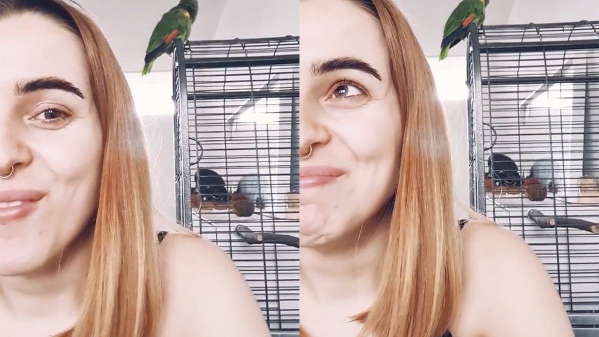 Vogel heeft iets teveel meegekregen van bazinnetje en haar Tinder-vriendjes