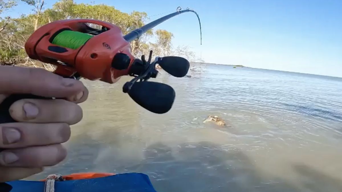 Vissers en krokodil vechten om vis in Australië