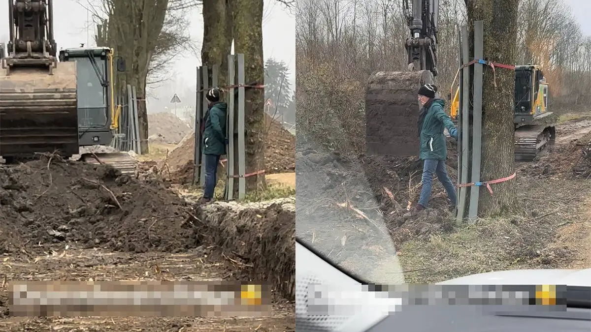 Boomknuffelaar gaat wel heel ver om boom te behouden | VK Magazine