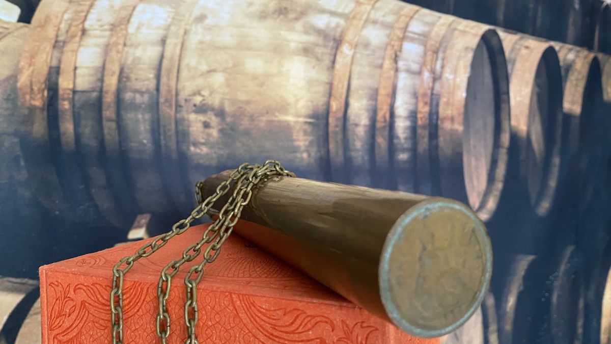 Dit is de winnaar van de dipping dog (de tweede)