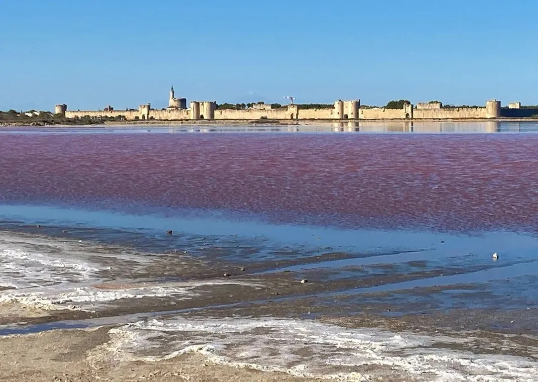 Les charmants lacs roses de France sont une visite incontournable cet été