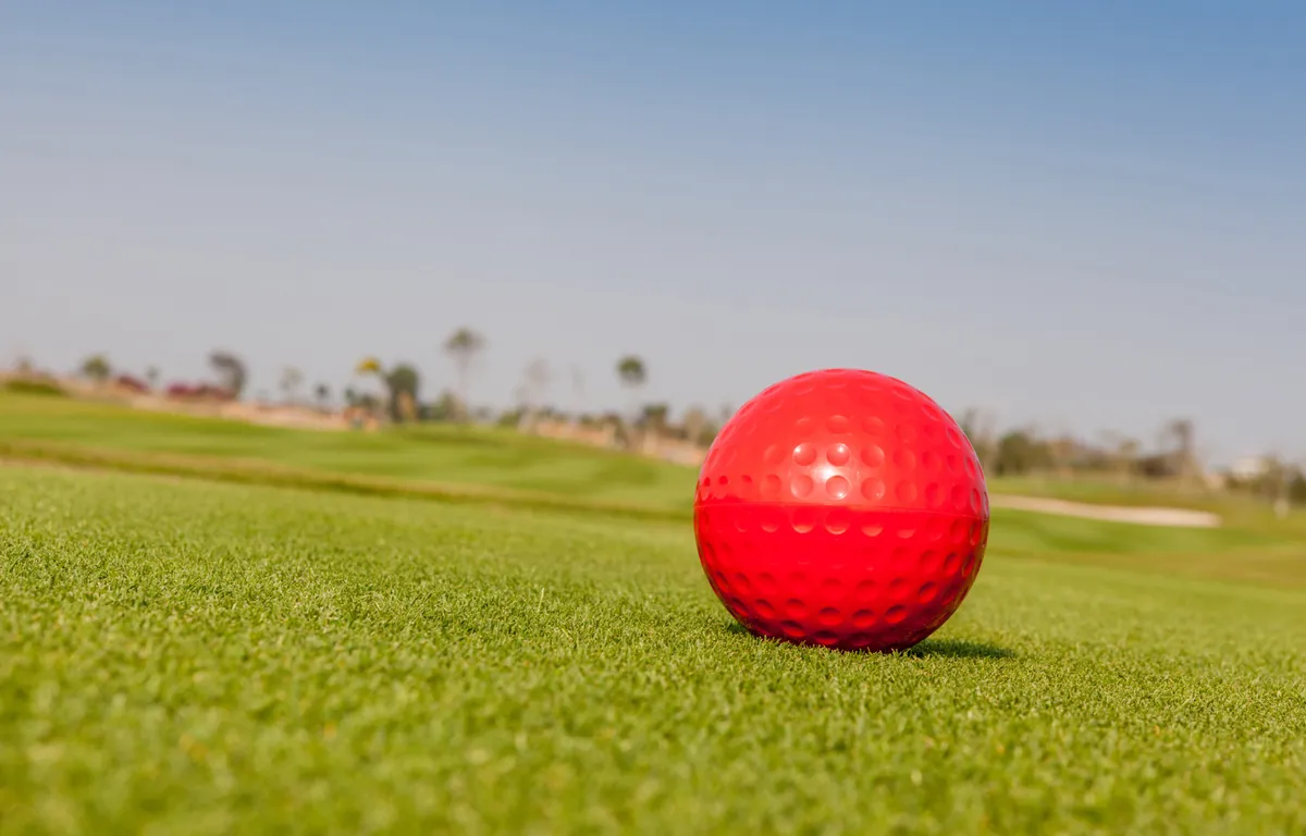 Directeur Nederlandse Golf Federatie sjoemelde zeker twintig jaar