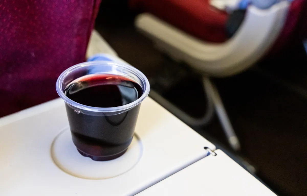 “Per favore, non bere alcolici quando sei sull'aereo.”