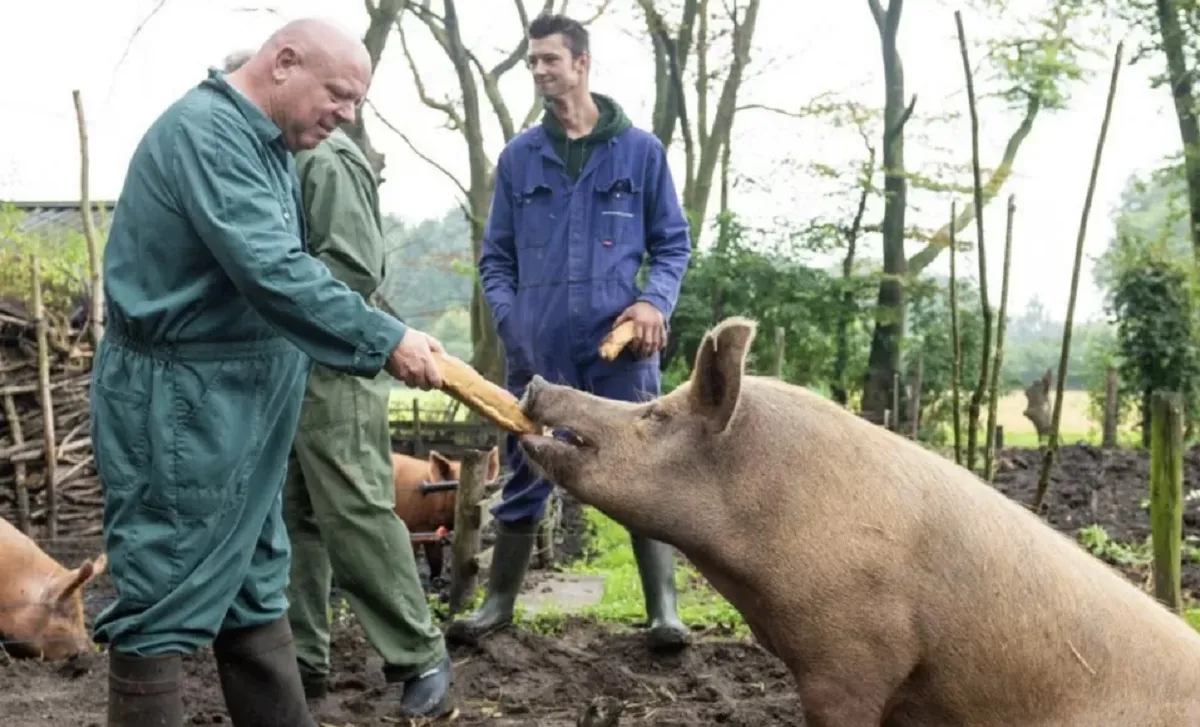 'Wendy en Peter uit elkaar, dramatisch gevolg voor Massa is Kassa' 'Wendy en Peter uit elkaar, dramatisch gevolg voor Massa is Kassa'