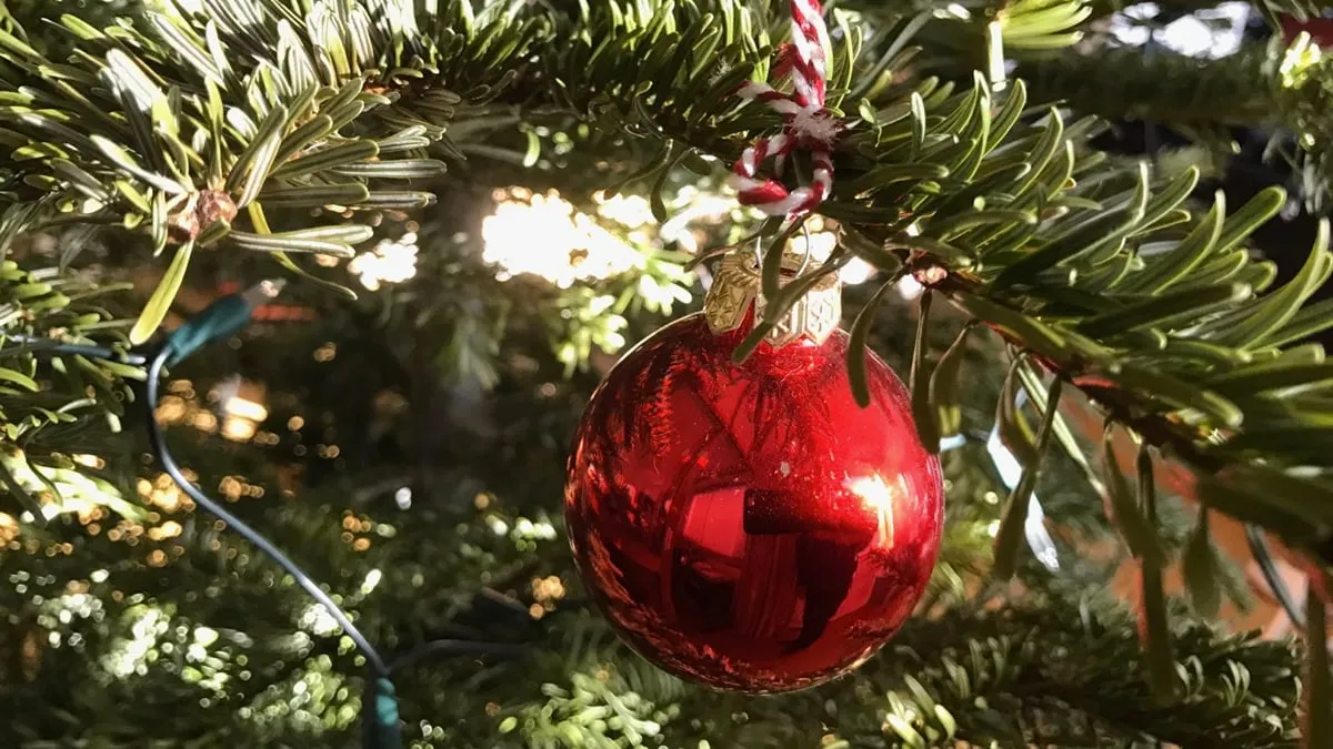 Nederlanders hangen minder lampjes in kerstboom