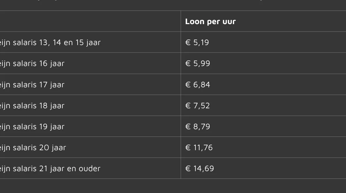 Albert Heijn betaalt krap 5 euro per uur voor kinderarbeid