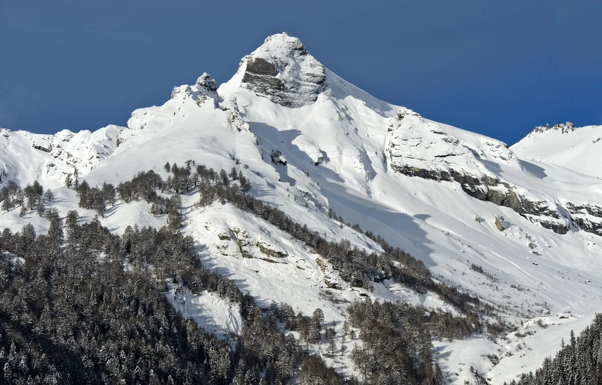 Florida man s 143 000 phone bill in switzerland sparks outrage and