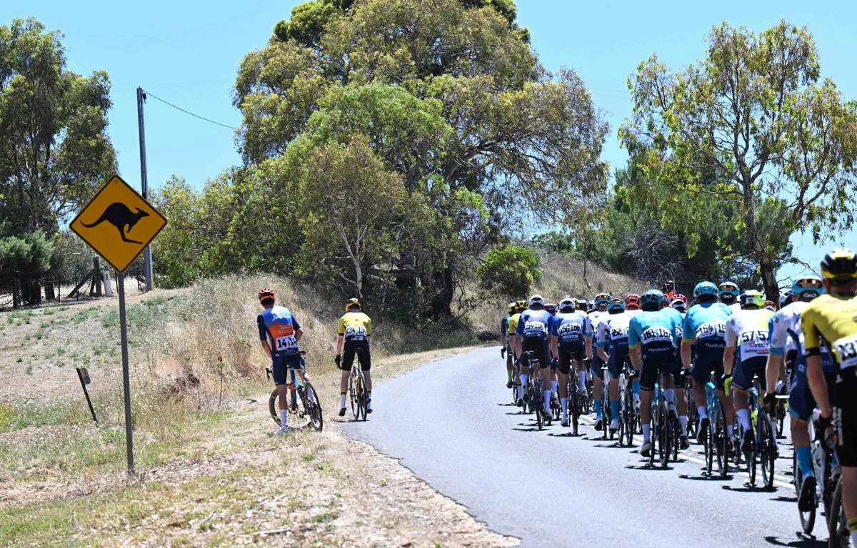 Participants Tour Down Under 2025 The participants are being announced!