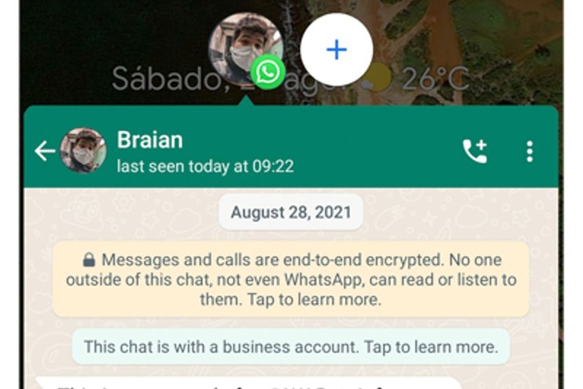 Zo kunnen de chatbubbels van WhatsApp eruit zien