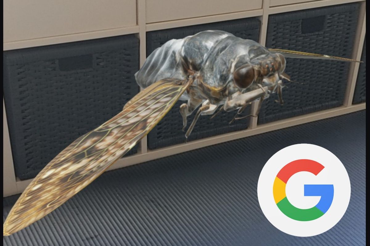 3D-dieren op je telefoon bekijken, dit zijn de 23 nieuwe insecten