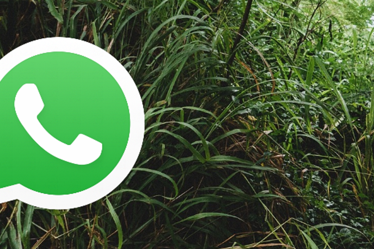 WhatsApp bèta ontvangt handige mention-knop in groepsgesprekken