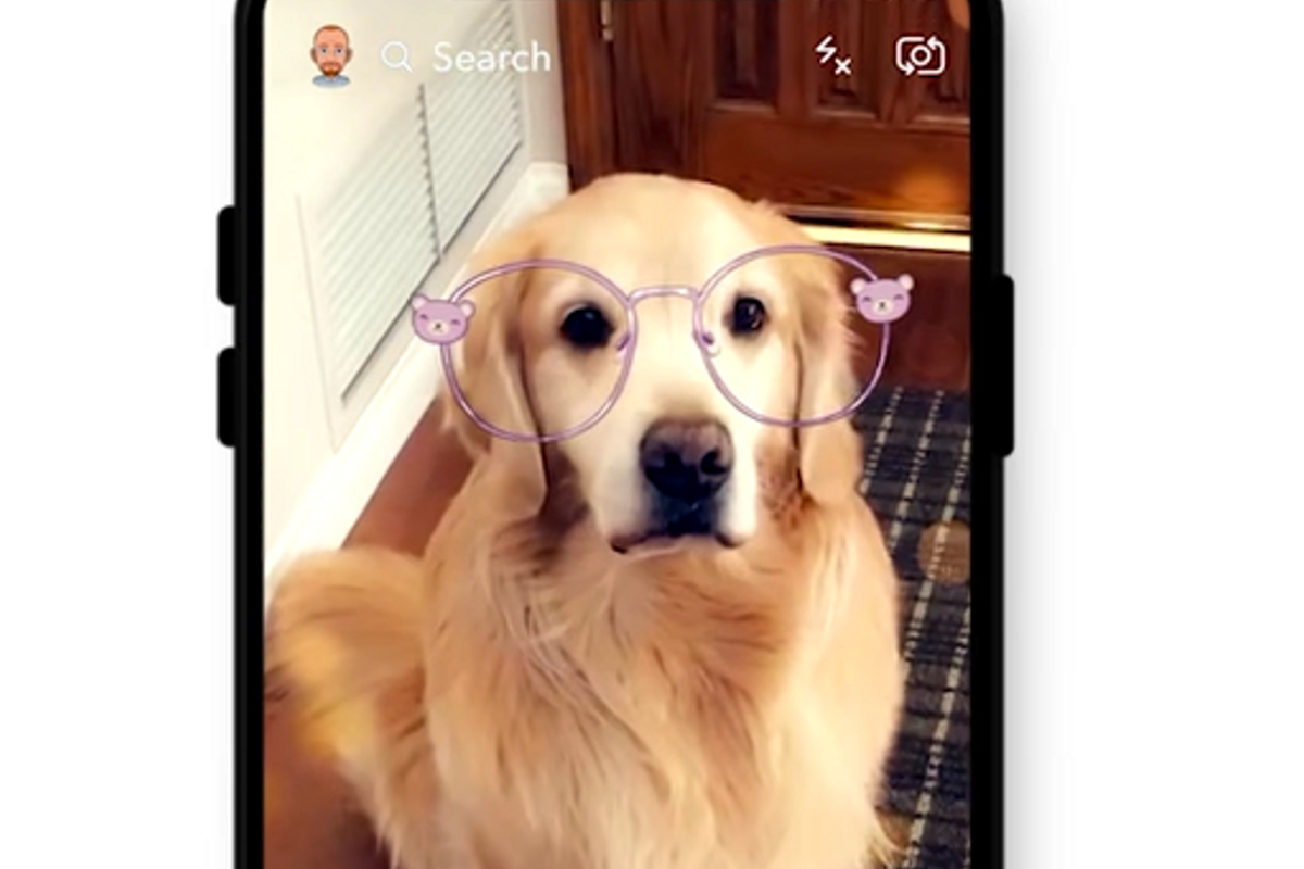 Snapchat lenzen werken nu ook bij je hond