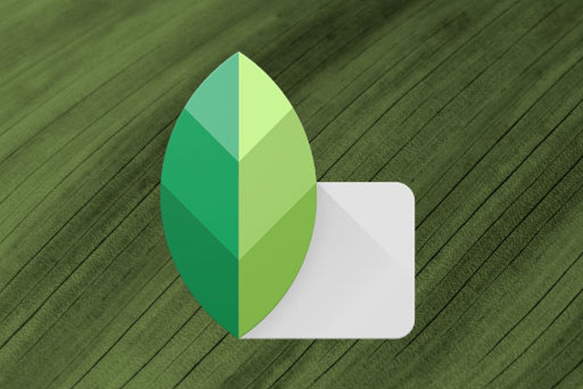 Snapseed-update: curves en verbeterde gezichtsdetectie