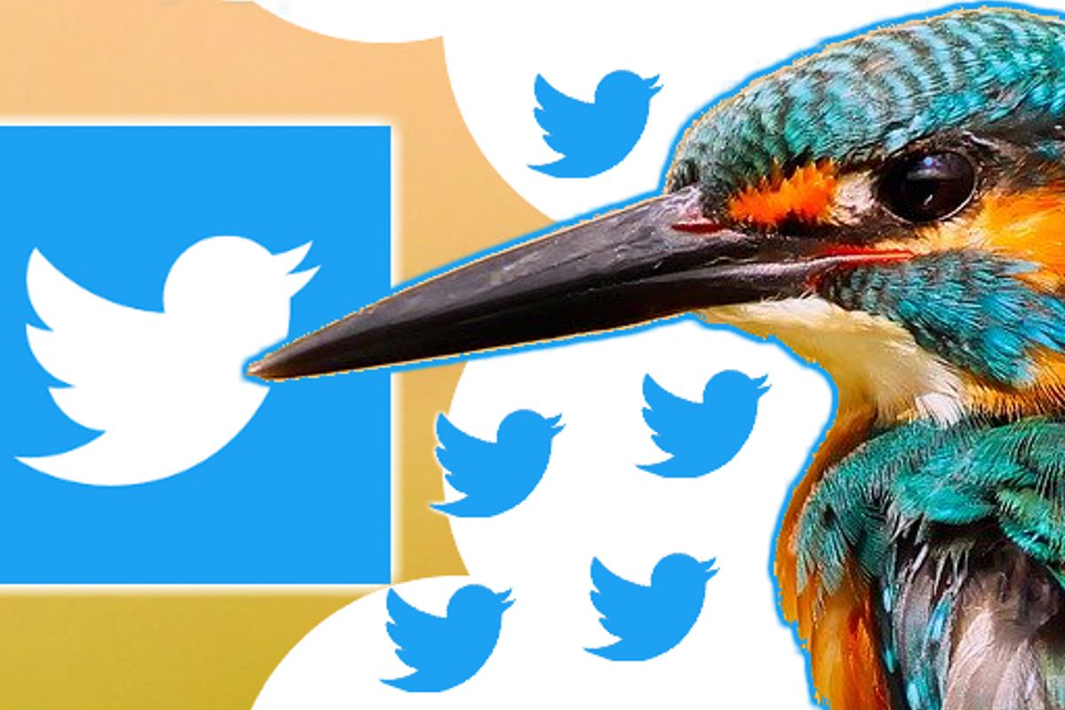 Twitter Fleets nu in Nederland, 'Stories' die na 24 uur verdwijnen