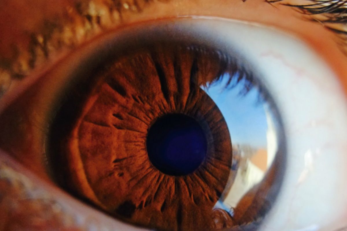 'Samsungs 600 megapixel smartphonecamera overtreft menselijk oog'