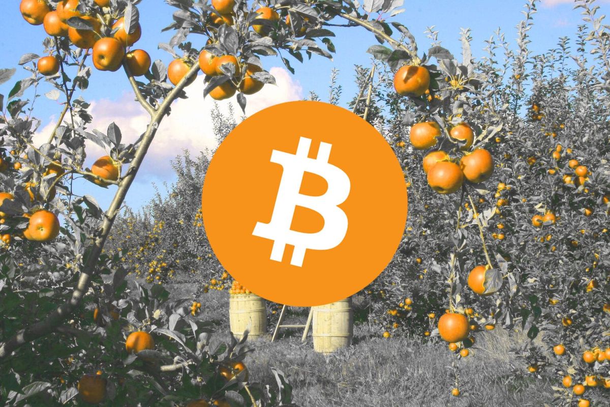 'Bitcoin miners verkochten in januari ruim 42.000 BTC aan beurzen'