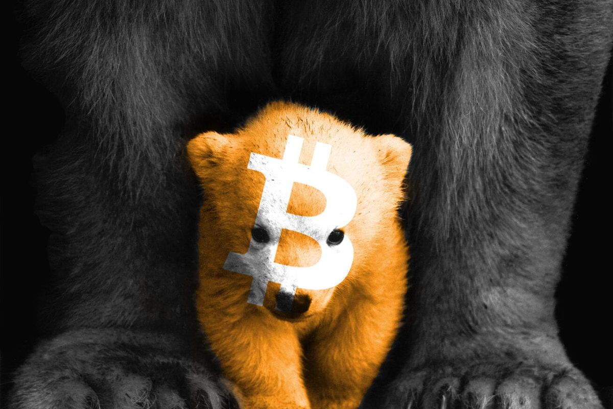 Bitcoin Update: Bulls staan onder druk, $34.600 belangrijke support