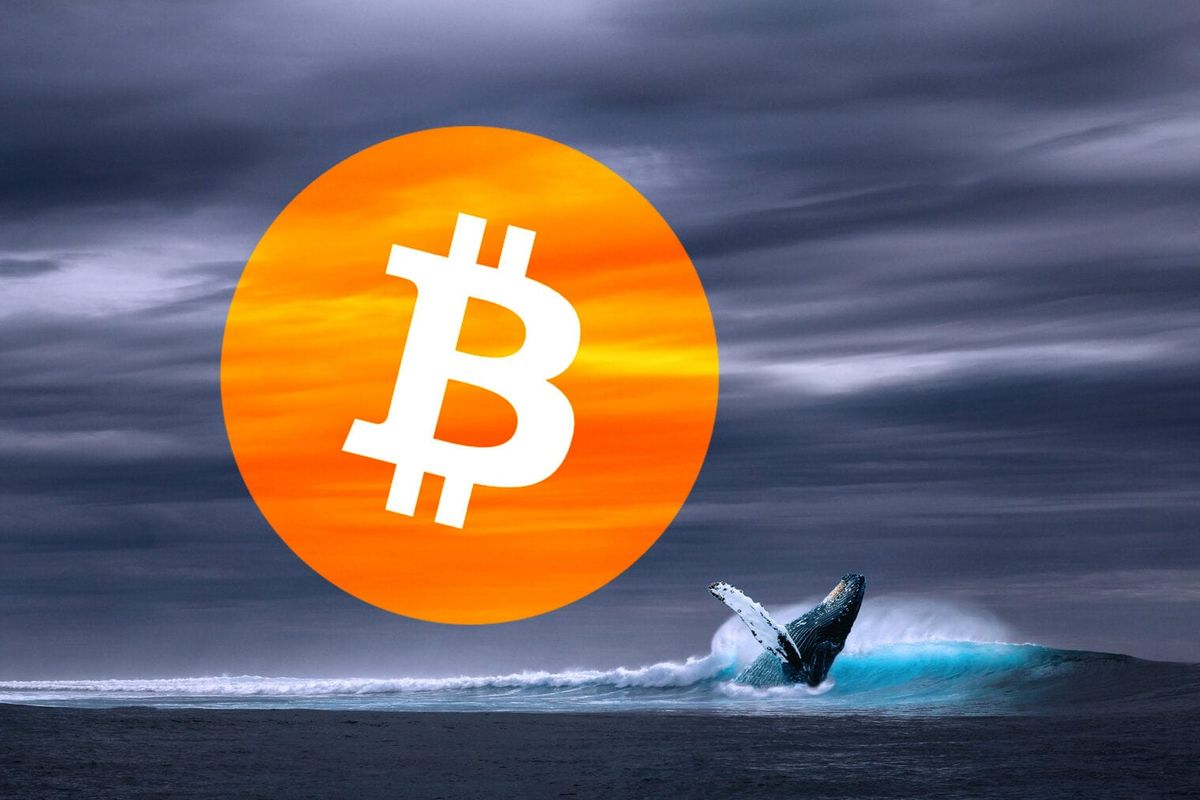 'Bitcoin whales kochten veel BTC rond $10.570 en $11.288'