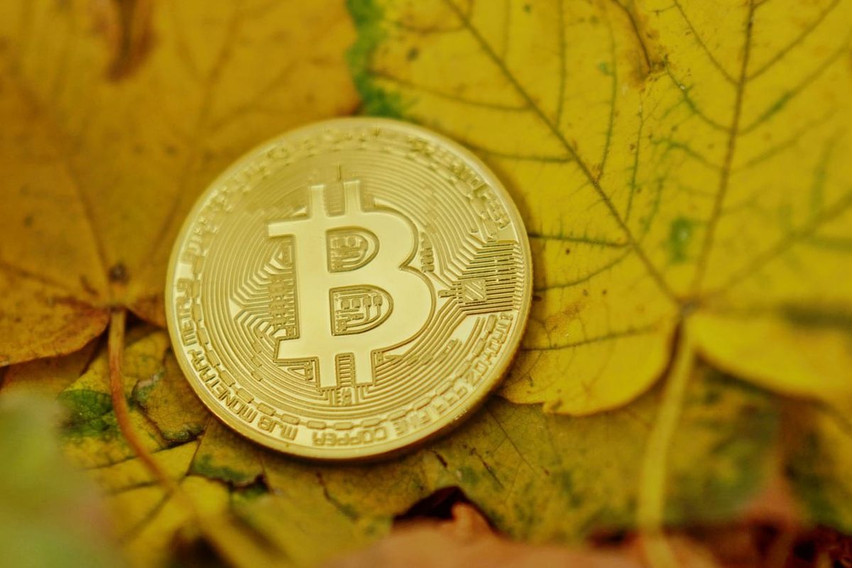 Bitcoin betaalprovider Square Crypto geeft BTCPay $100.000 donatie