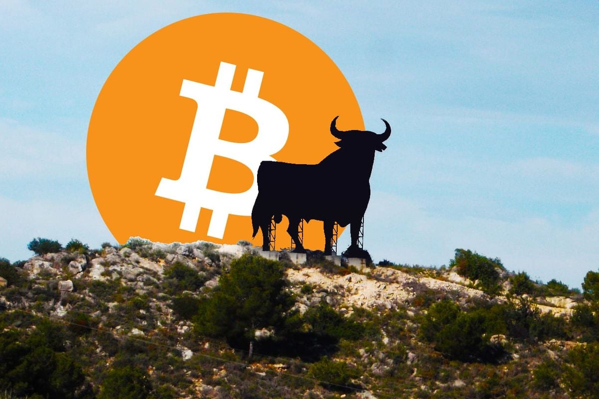 'Bitcoin is nog nooit onder deze lijn gevallen'
