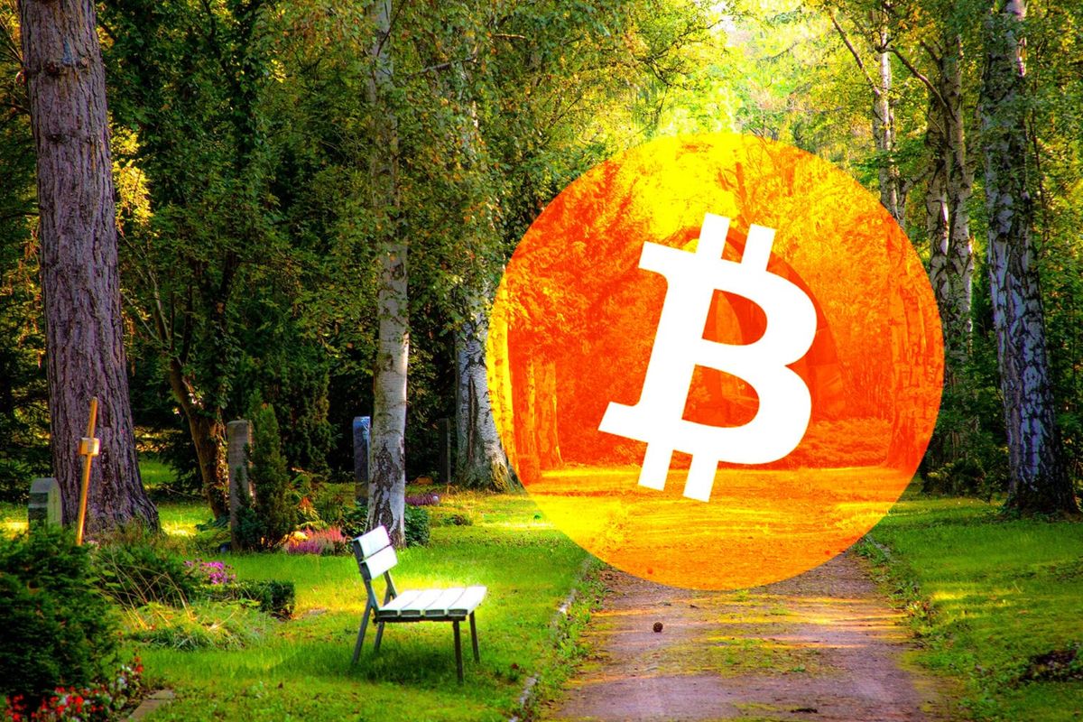 Tien jaar oude bitcoin uit winterslaap na breken $21.000