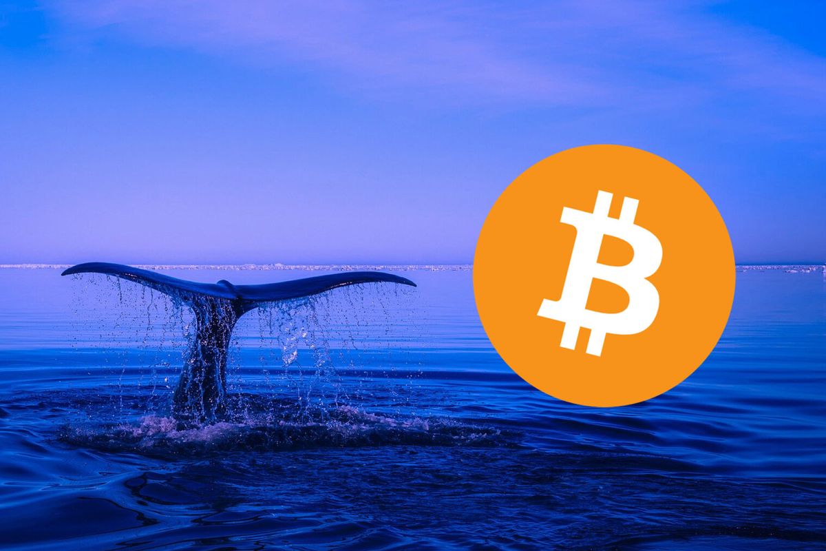 Mysterieuze Bitcoin Whale Beweegt Plots En Verplaatst $134 miljoen aan BTC