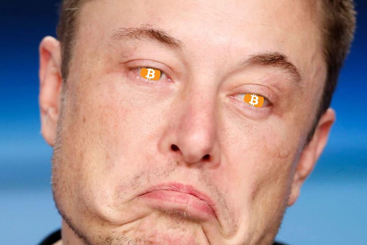 Elon Musk laat Bitcoin prijs dumpen: dit zijn de reacties op Twitter