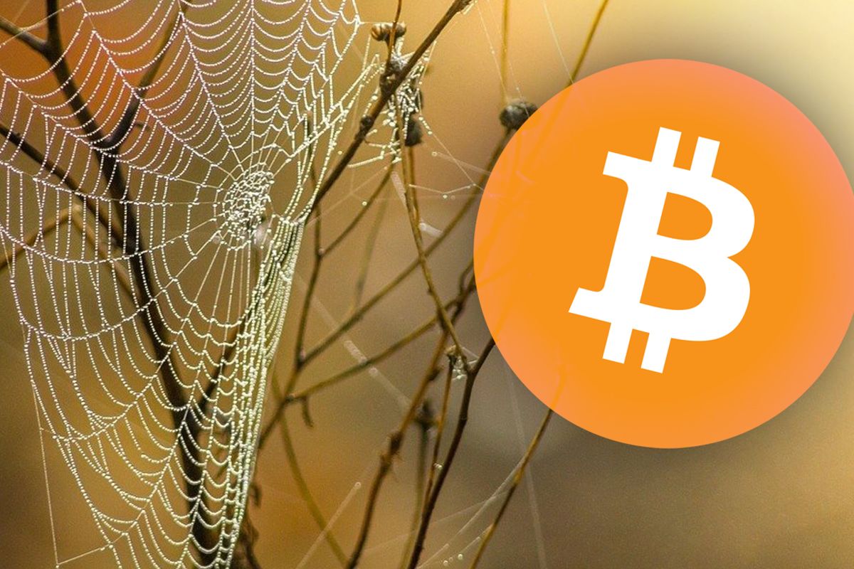 In Nederland zijn er bijna 1.500 bitcoin nodes