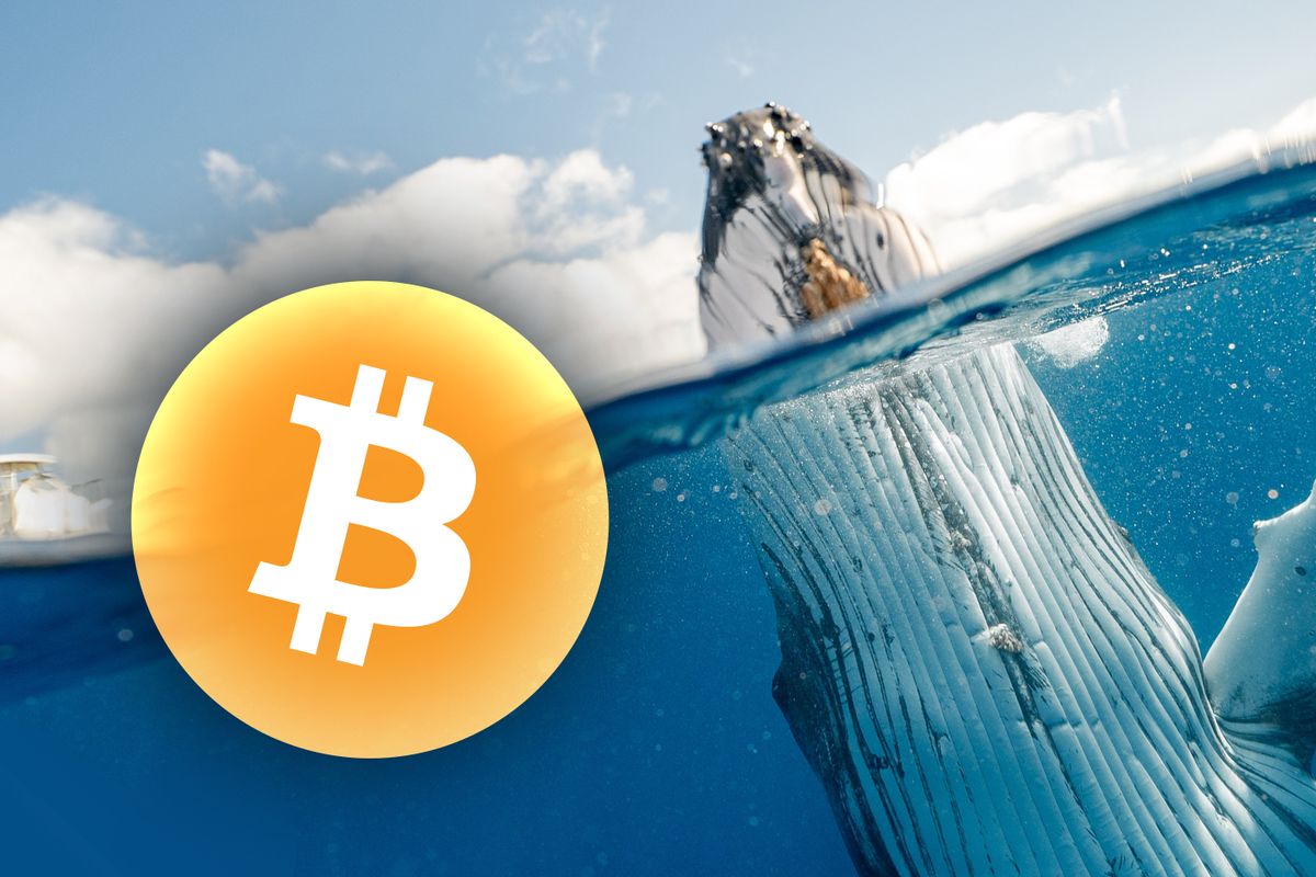 Bitcoin (BTC) whale volume op tweejaarlijks dieptepunt