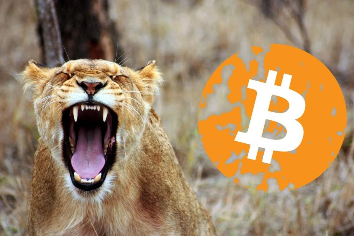 Bitcoin Update: $34.000 cruciaal voor voortzetting bullish trend