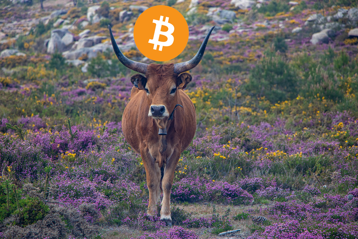 Arthur Hayes: 'Nog één correctie voordat bitcoin nieuwe bullrun begint'