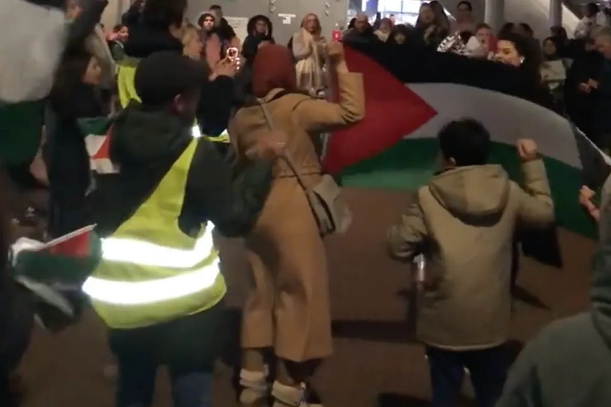 Video! Crazy leftist extremists demonstrate against election results: 'And from the River to the Sea, Palestine will be free'