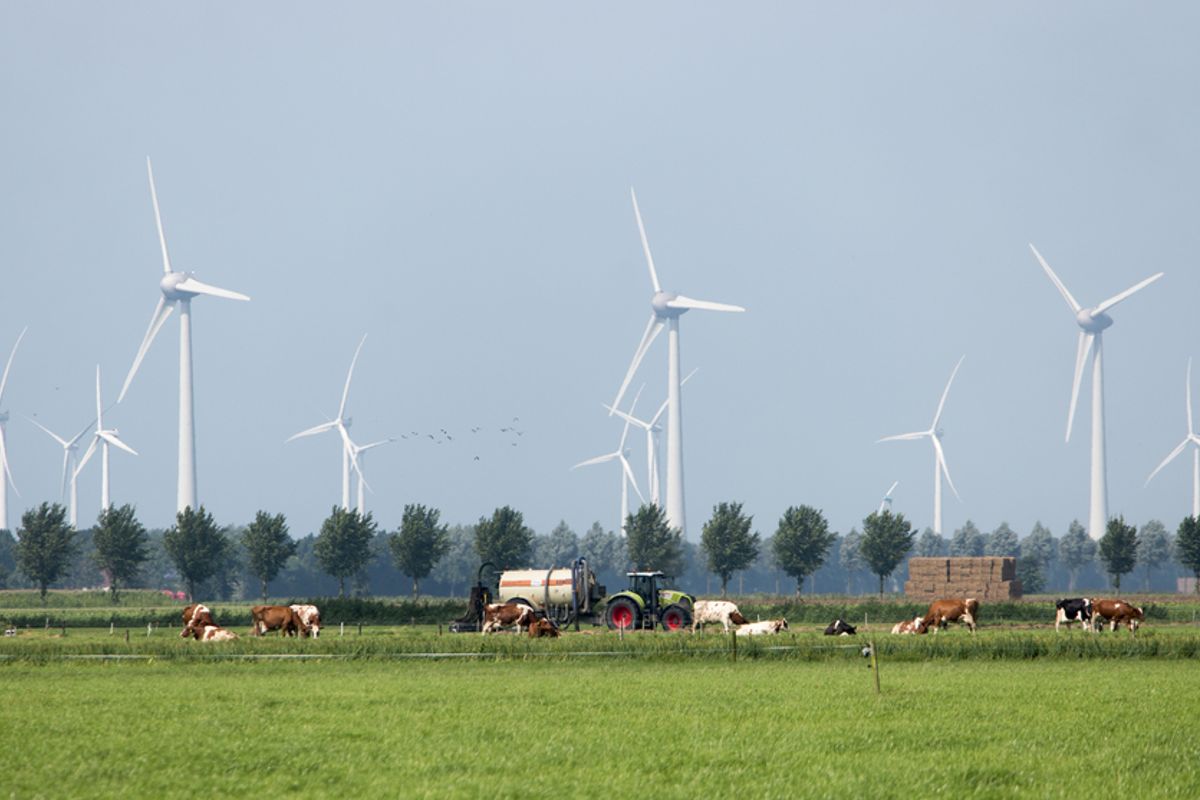 'Democratie': Provincie gaat Twente windmolens door de strot duwen als gemeentes zelf niet snel met plannen komen