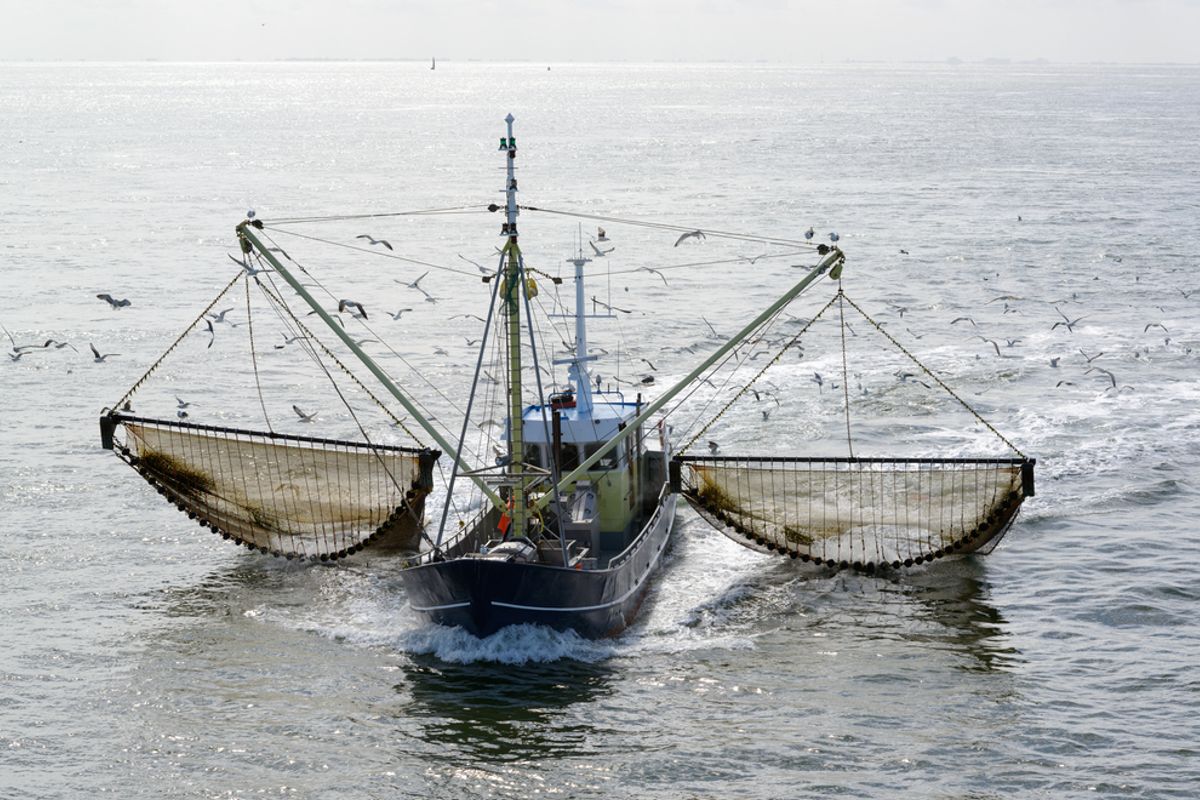 Vissers houden boot aan de kust en doen smeekbede aan Rutte: "Gasolie van een euro € is niet tegen te varen"