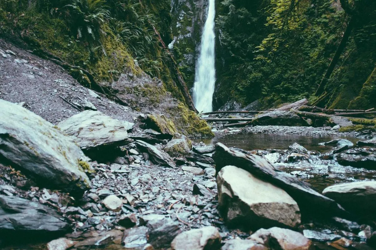 Dave watched as the forest burned up on the hill.