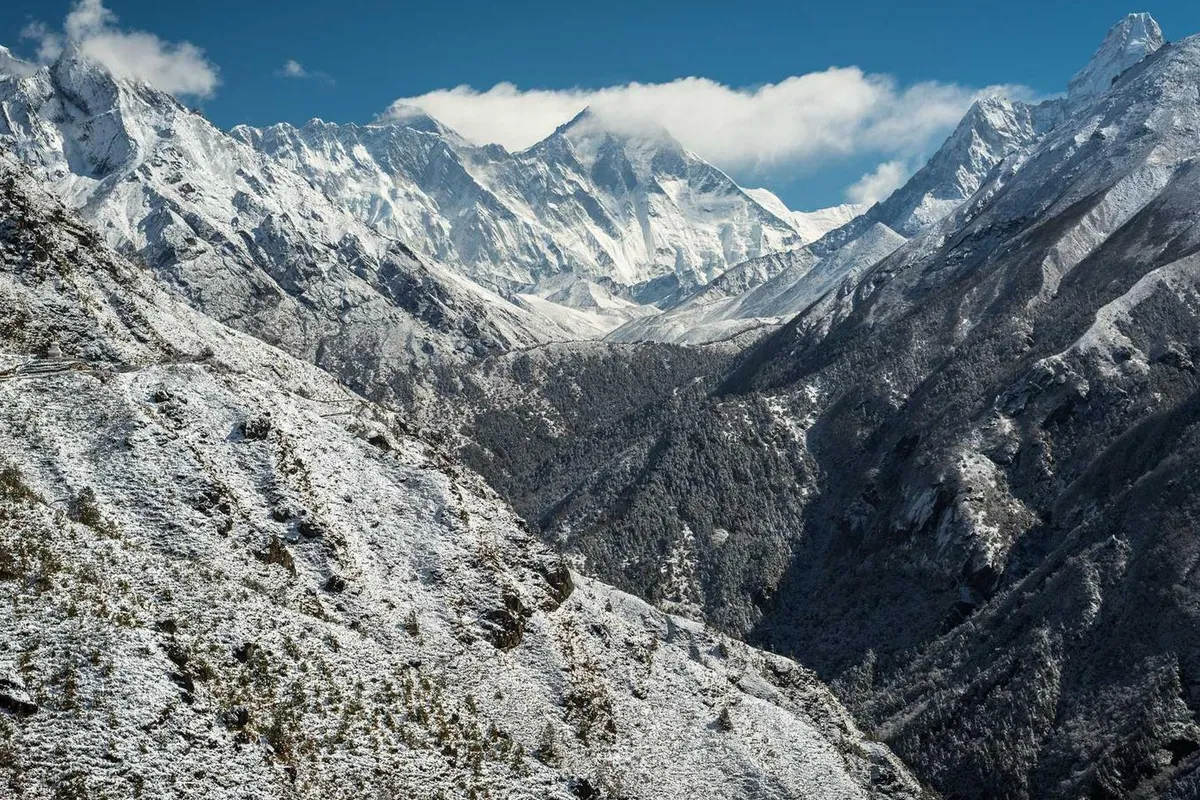 They rushed out the door.