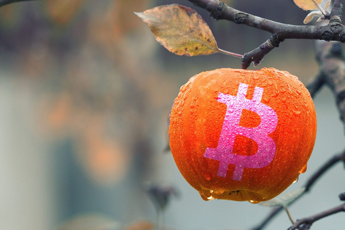 Gaat de bitcoin (BTC) koers weer de $6.500 testen of gaan we omhoog?