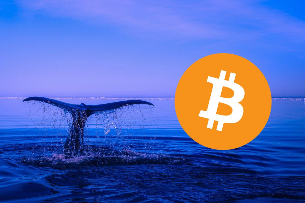 Onbekende wallet verstuurt ruim $990 miljoen in bitcoin